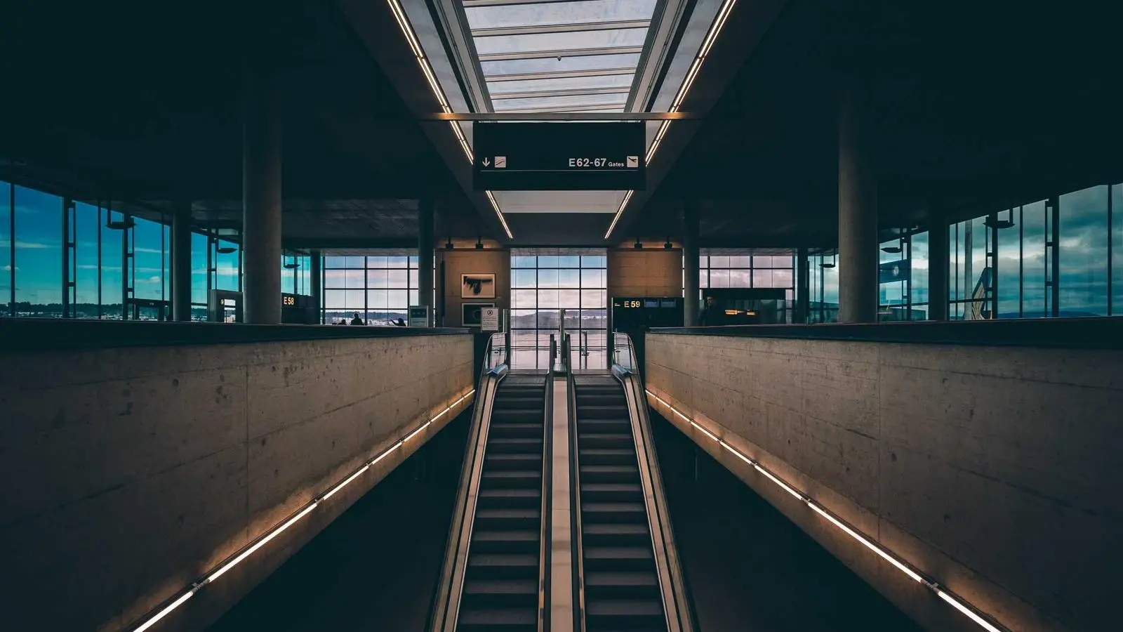 Новые бренды в каталоге